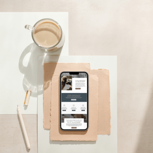 Mobile-Optimization-for WordPress-websites